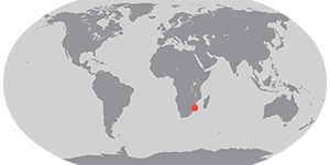 Floods Inundate Southern Mozambique – NASA Science - Imagem do artigo original