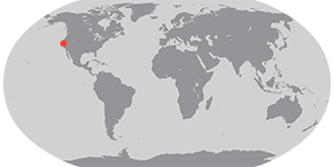 Complexos vulcânicos da Califórnia ajudam NASA a entender erupções em outros mundos - Imagem do artigo original