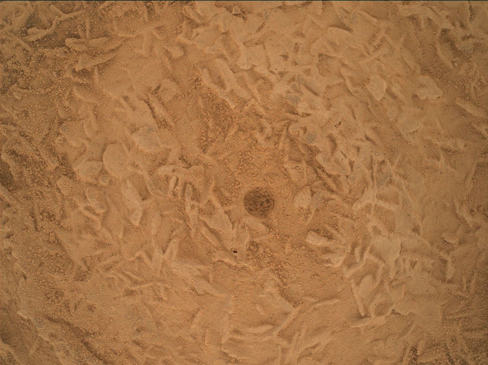 Curiosity encontra rochas com protuberâncias em disco e se prepara para nova perfuração em Marte - Imagem do artigo original